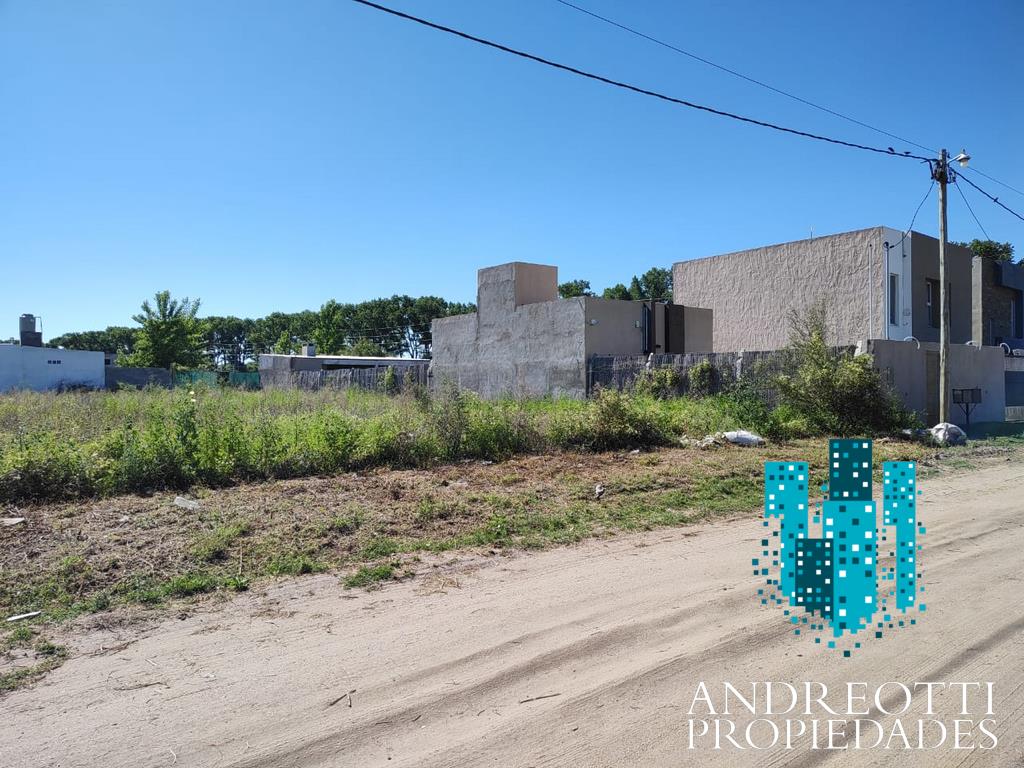 Departamento,En Alquiler,1561