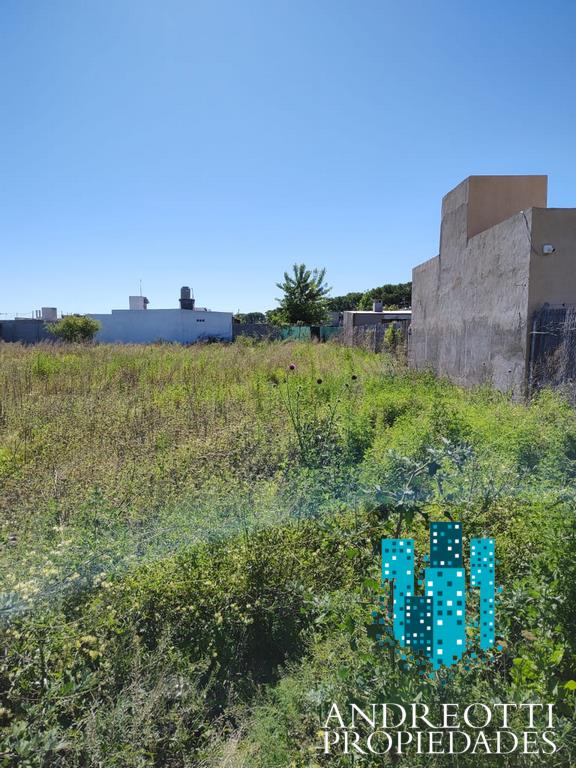 Departamento,En Alquiler,1561